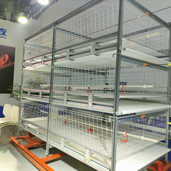 Quality Galvanized 380V 120/150 Broiler Chicken Cage For Poultry SGS Certificated for sale