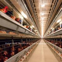Quality Poultry Farming Cage System for sale