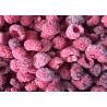 China 100% Natural IQF Frozen Raspberry IQF Frozen Fruit 24 Hours Services factory