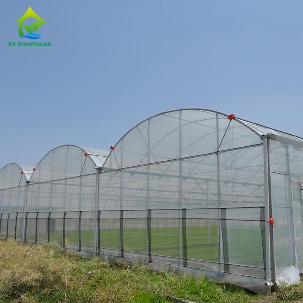 Quality UV Resistant Plastic Film Greenhouse for sale