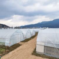 China Irrigation System Productive Single-span greenhouses Agriculture Green House For Sale factory