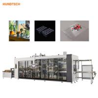 China High Efficiency Multistation Tray Forming Machine Vacuum Forming Equipment factory