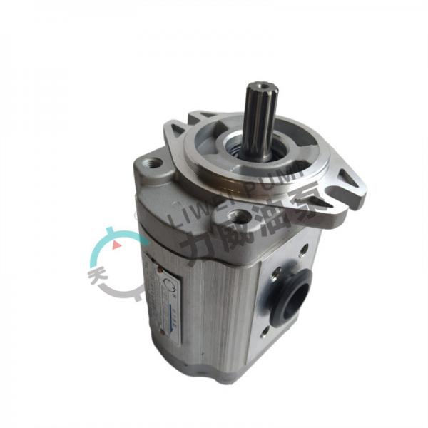 Quality 4D95S Forklift Hydraulic Overload Pump Cast Iron Gear Pump 37B-1KB-2020 for sale