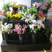 China Black Corflute Floral Display Stand PP 4 Step Flower Shop Display Equipment factory