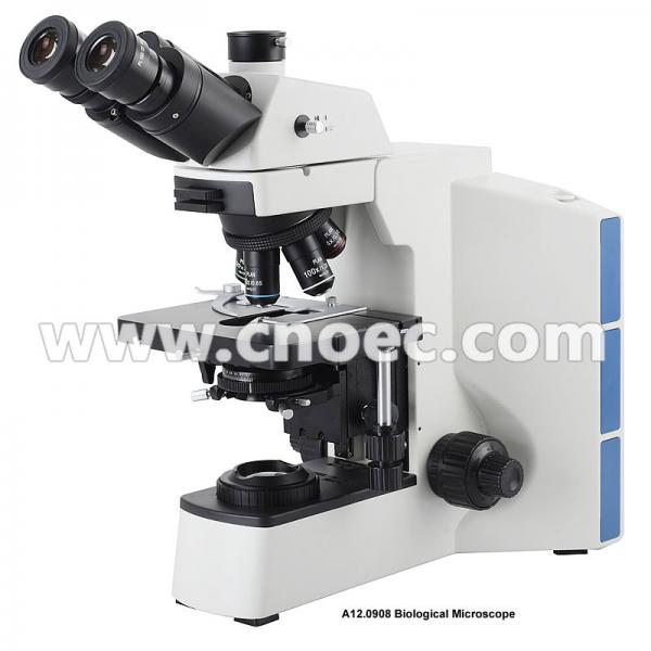 Quality Infinity Binocular Compound Microscope With Infinity Plan Objective A12.0908 for sale
