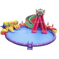 China Large Inflatable Pool Water Slide for Kids (CY-M2148) factory