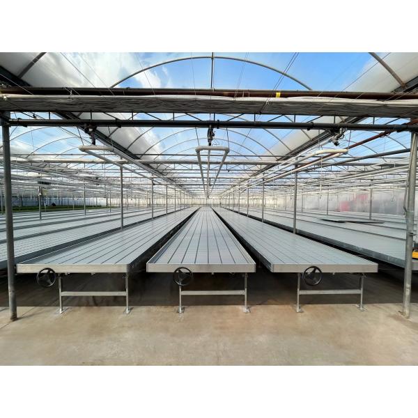 Quality Fully Automated Light Deprivation Greenhouses Single Span Blackout Greenhouse for sale