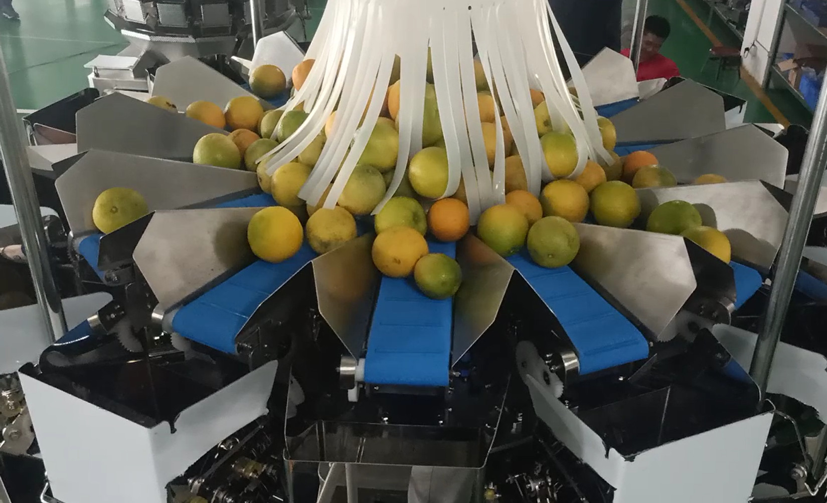 China 14 Head Multihead MCU/PLC Weigher Packing Machine For Weiging Fruits Oranges factory
