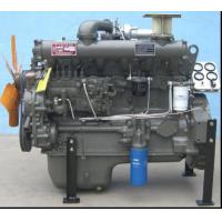 Quality Ricardo Diesel Engine for sale
