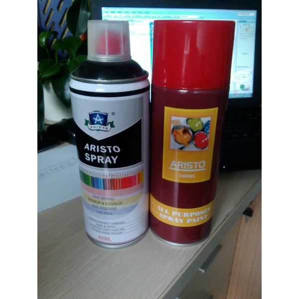 Quality Multi Purposes Aerosol Spray Paint for Interior and Exterior for sale