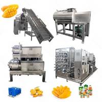 China One Stop Service​ SUS304 Mango Jam Processing Line For Finished Product 10 - 200T/D factory