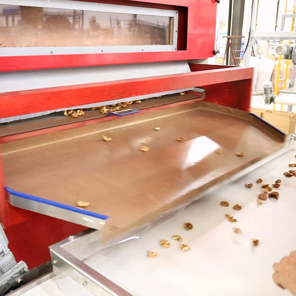 Quality 380V Efficient 1 Ton Walnut Shelling Machine With 90% Perfect Kernel Rate Output for sale