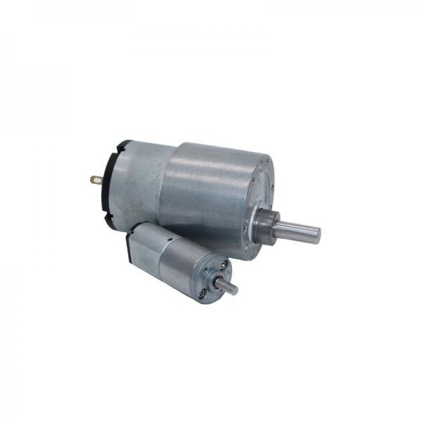 Quality 6V 24V 12 Volt Dc Worm Gear Motor High Torque Micro For Foot Sole Massager 12000RPM for sale