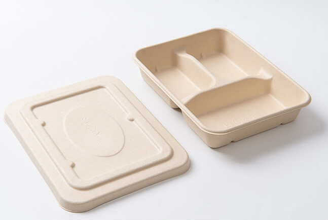 China One Time Use Dinner Plate Biodegradable Food Containers Compostable factory