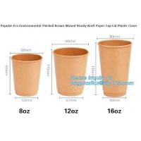 China 100% Biodegradable Disposable PLA Coated Coffee Paper Cup,9oz hot coffee paper cup with lids/ coffee to go cups/ oem dis factory