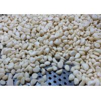 China Vacuum Peeled Garlic Cloves factory