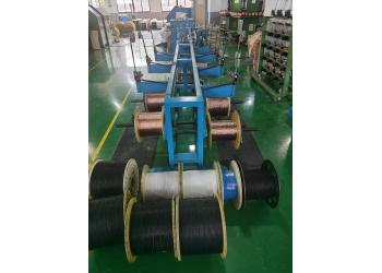 China Factory - Changzhou Linyin Electron Co., Ltd.