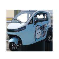 China Raysince latest model enclosed electric tricycle China top sales 3 wheel electric car for adults factory
