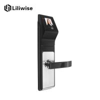 China Smart 3D Infrared Face Recognition Door Handle Lock For Family and Company factory