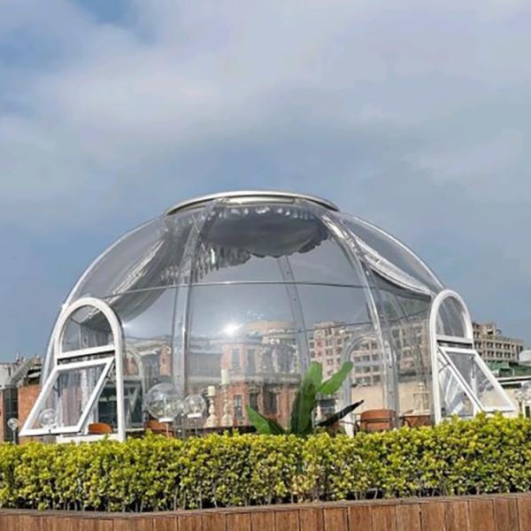 Quality 5m Patrick Star Bubble House for sale