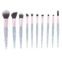 China 10piece Powder Glitter Facial Makeup Brushes for sale