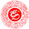China Jinan Dragon Steel Balls Co.,Ltd logo