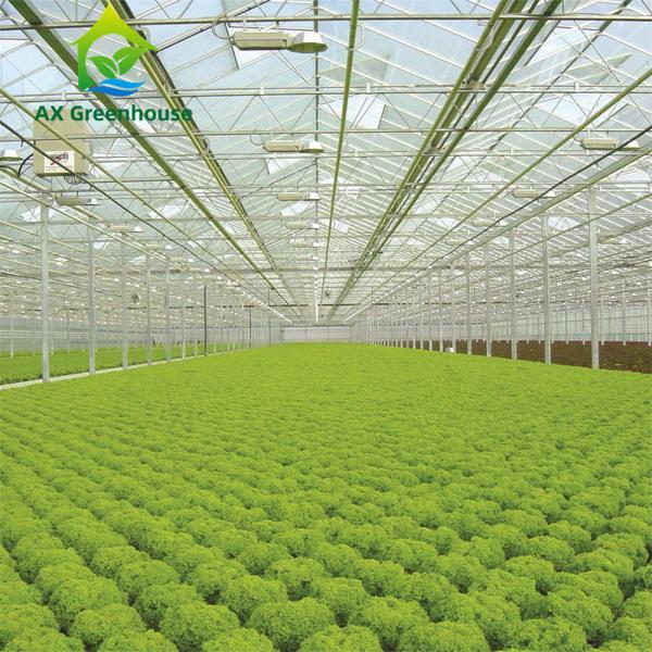 Quality ODM Industrial Agricultural Glass Greenhouse for sale