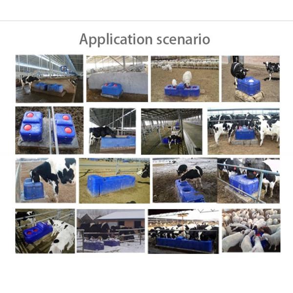 Quality Single Hole LLDPE 40L Livestock Auto Waterer For Cow for sale