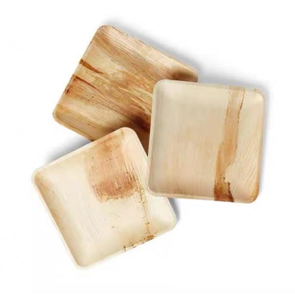 Quality Biodegradable Disposable 10 Inch Square Areca Palm Leaf Plates For Corporate for sale