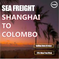 China Sea Freight From Shanghai China to Colombo Sri Lanka factory