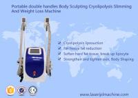 China Body Sculpting Cryolipolysis Slimming Machine Portable Style Weight Loss Machine factory