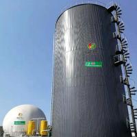 China Biogas From Vegetable Waste Horizontal Biogas Plant factory