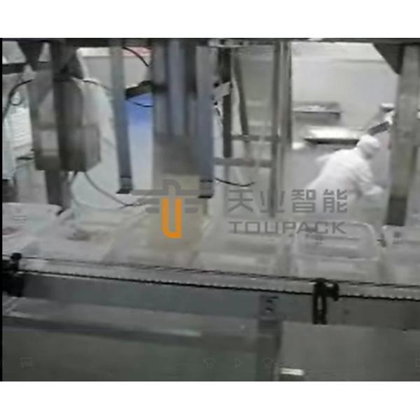 Quality SUS 304 Frozen Food Packing Machine Auto Weighing System CE Certificate for sale