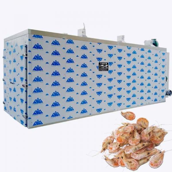 Quality 150 Trays Shrimp Seaweed Seafood Drying Machine SS304 Anti Corrosion for sale