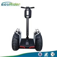 China Self Balance Segway Electric Scooter Brushless Off Road Motorized 21 Inch Tire factory