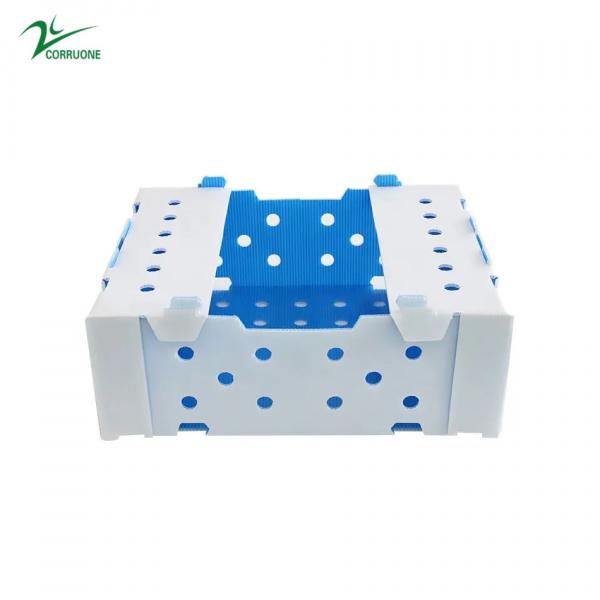 Quality New 2023 Corrugated plastic box for Fruits and vegetables low price for sale