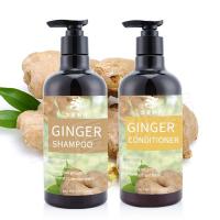 China Ginger Shampoo For Hair Growth Anti Hair Loss Anti Dandruff  Private Label factory