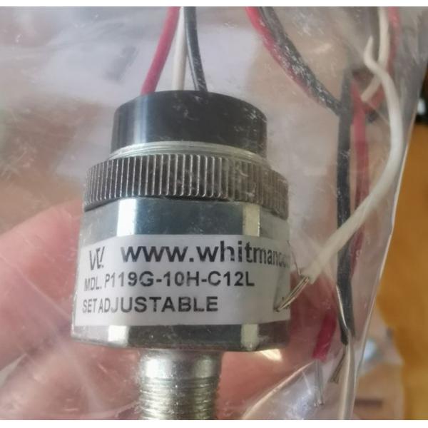 Quality P V Miniature Float Level Switch 5 Amps P119G-10H-C12L Whitman Controls Pressure for sale