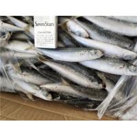 China 100% Net Weight 120g BQF Frozen Whole Sardines factory