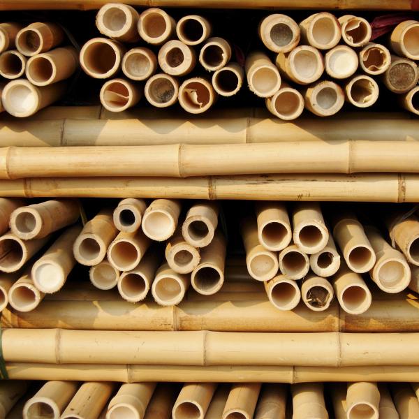 Quality 100 % Natural Strong Durable Moso Bamboo Pole Customize Length for sale