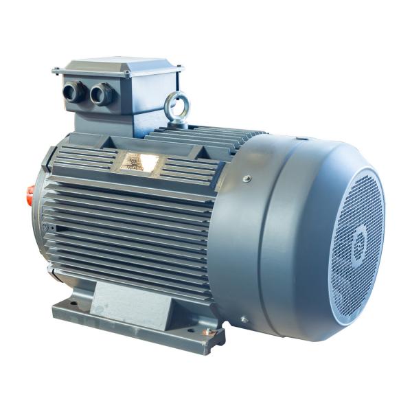 Quality Electric Squirrel Cage Induction Motor High Efficiency Flange Mounting Motor B3 for sale