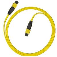 Quality MPO MTP Fiber Optic Patchcord for sale