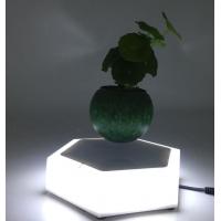 China new led light customize magnetic floating levitating air bonsai potted plant trees factory
