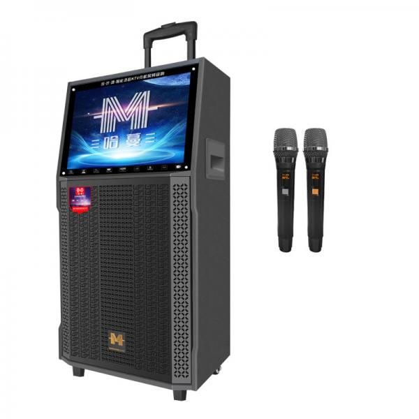 Quality Professional Portable Karaoke Video Machine With 2 Microphones ROHS Approved for sale