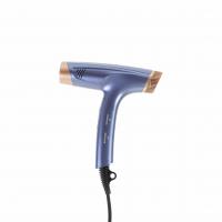 China High Speed Brushless Motor Hair Dryer For Home 110000rpm Customized factory