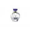 China Super Clear Glass Perfume Bottles 50ml 60ml 70ml 100ml Glass And PP Material factory