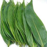 Quality Natural Big Size Sushi Food Decoration Bamboo Leaves 7-11cm for sale