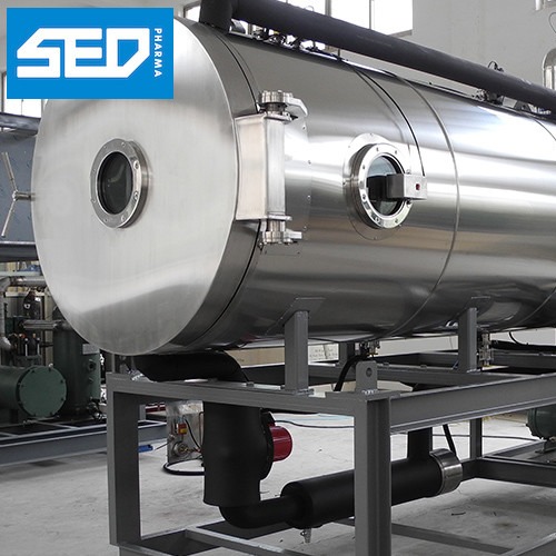 Quality SED-10DG 100 Kgs Per Batch Industrial Lyophilisation Equipment High Efficiency For Vegetable / Fruits Drying for sale
