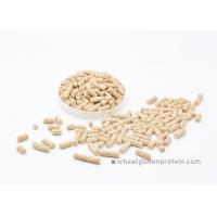 china Bulk Wheat Gluten Pellet Used As Protein Ingredient of Fish or Prawn Feedstuff