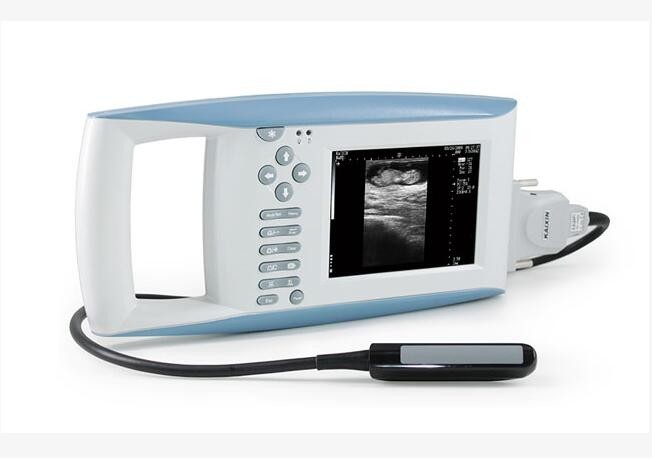 China 5.7&quot; Handheld Veterinary Ultrasound Scanner Device With Li - Ion Battery For factory